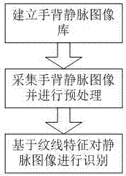 Vein recognition method based texture features