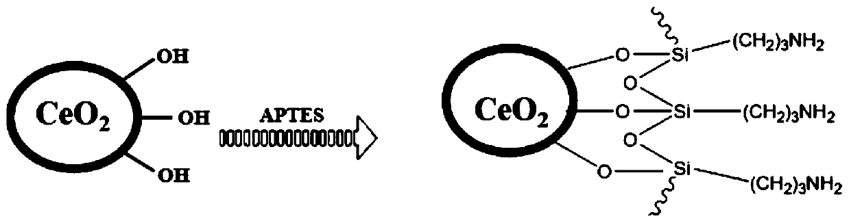 Composite material, preparation method thereof, nano-drug and application