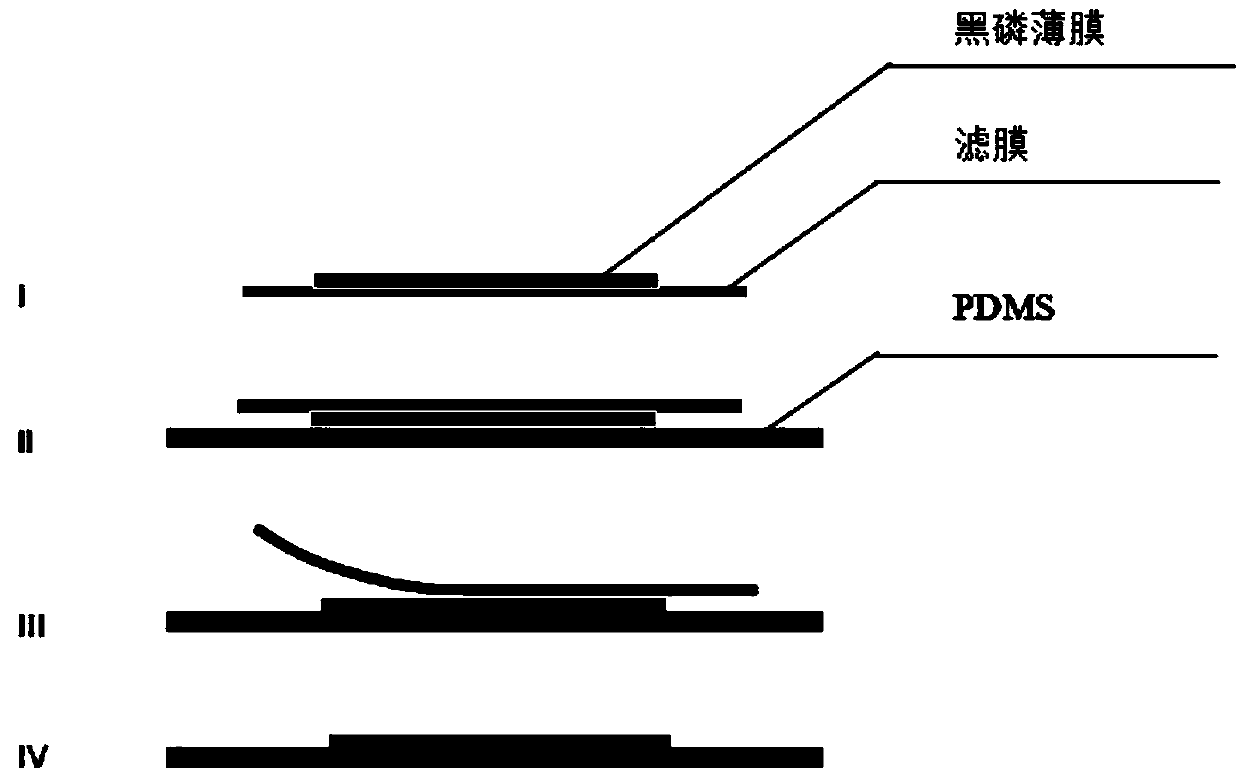 A method of rapidly transferring black phosphorus film by using polydimethylsiloxane