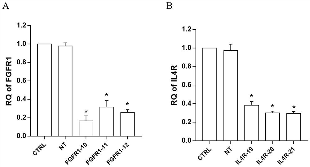 Application of Interleukin 4 Receptor in Preparation of Drugs for Prevention and Treatment of Enterovirus 71 Infection