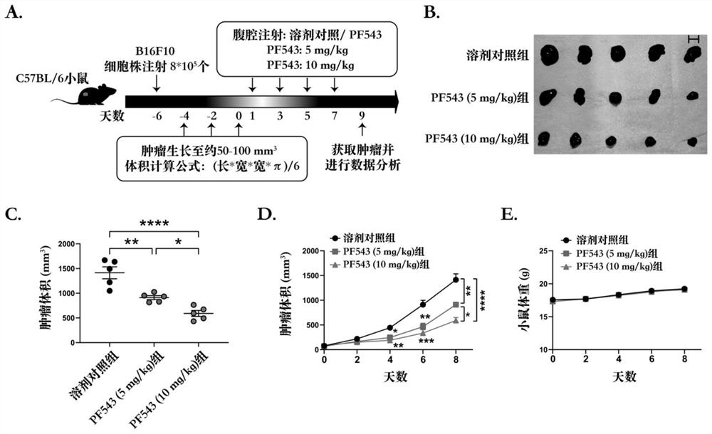 Application of SPHK1 in preparation of PD-L1/PD-1 monoclonal antibody tumor immunotherapy drug