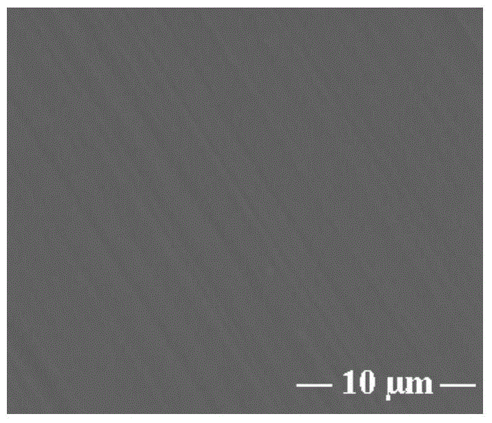 Method for bonding carboxymethyl chitosan bioactive molecules on surface of magnesium alloy