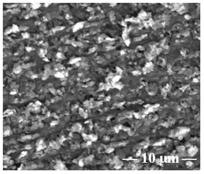 Method for bonding carboxymethyl chitosan bioactive molecules on surface of magnesium alloy