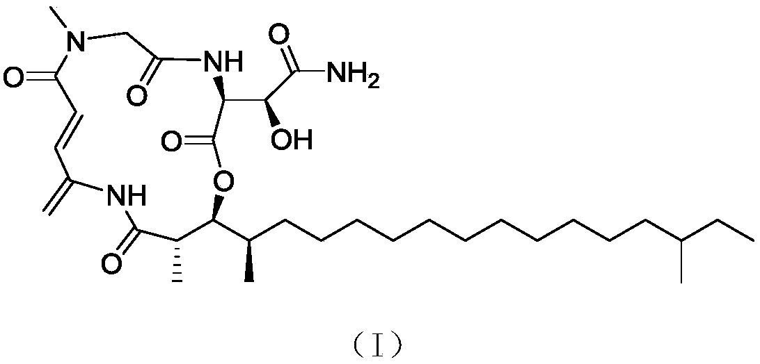 A kind of rakicidins compound rakicidin B1 and its preparation method