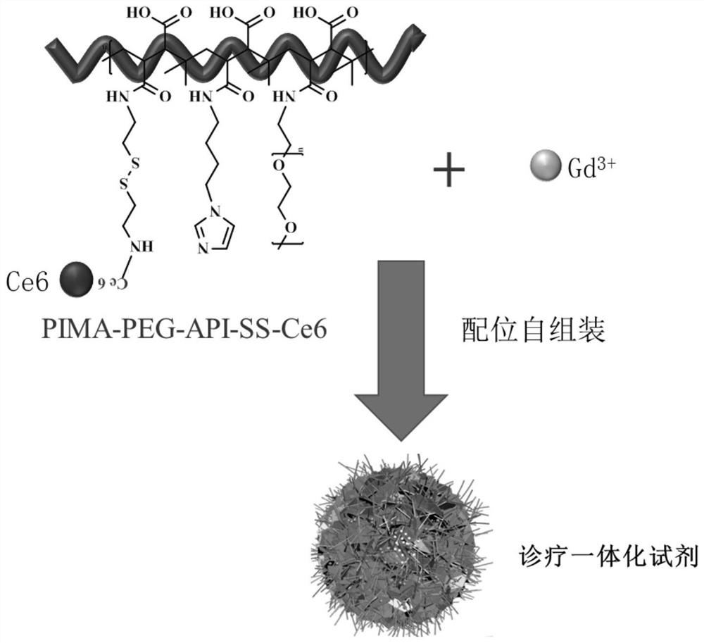 A tumor microenvironment-responsive self-assembly integrated diagnosis and treatment reagent and its preparation method