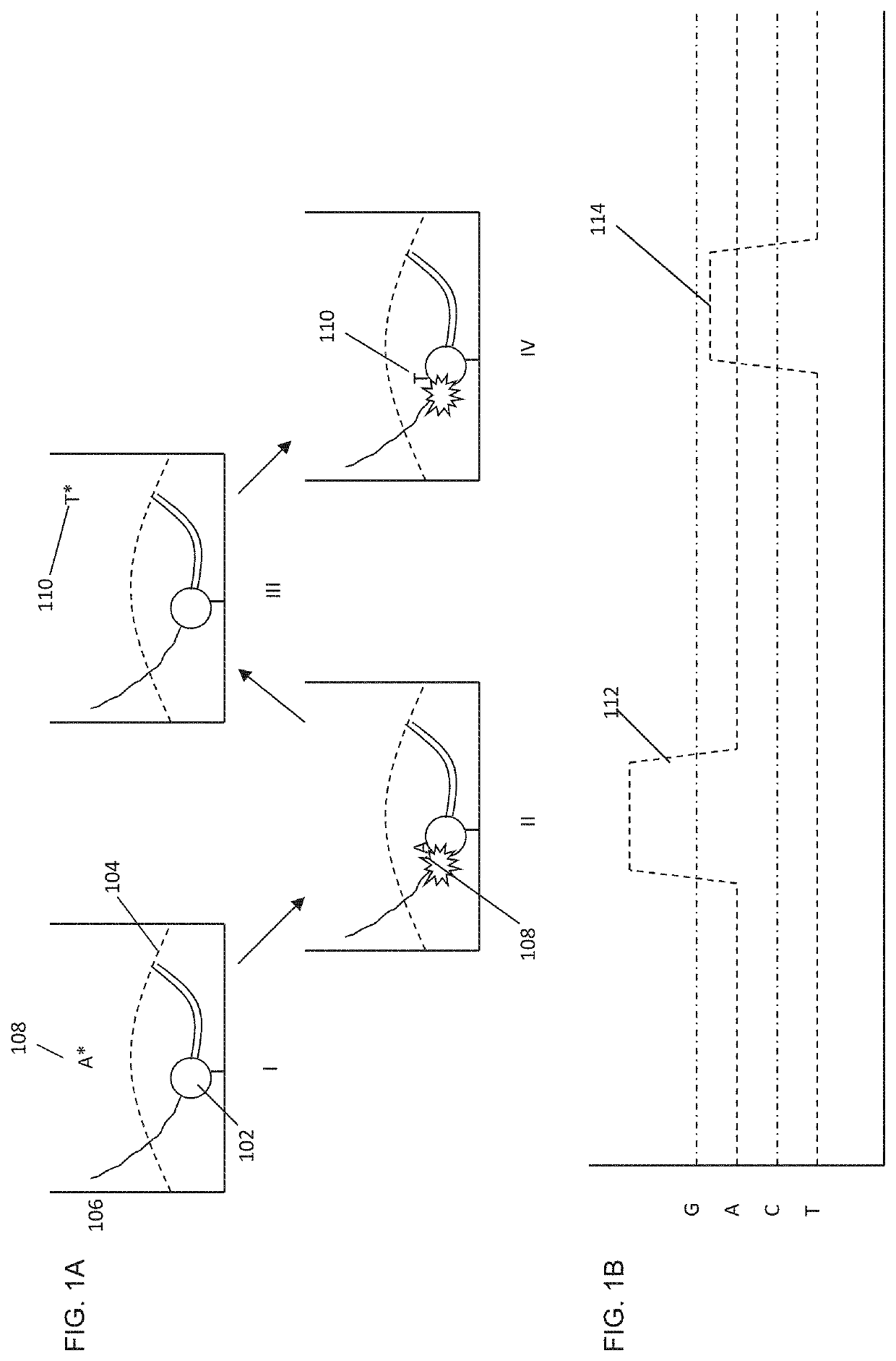 Protected dye-labeled reagents