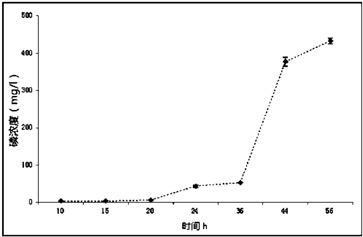 Bacillus pallidus strain X21 and application thereof