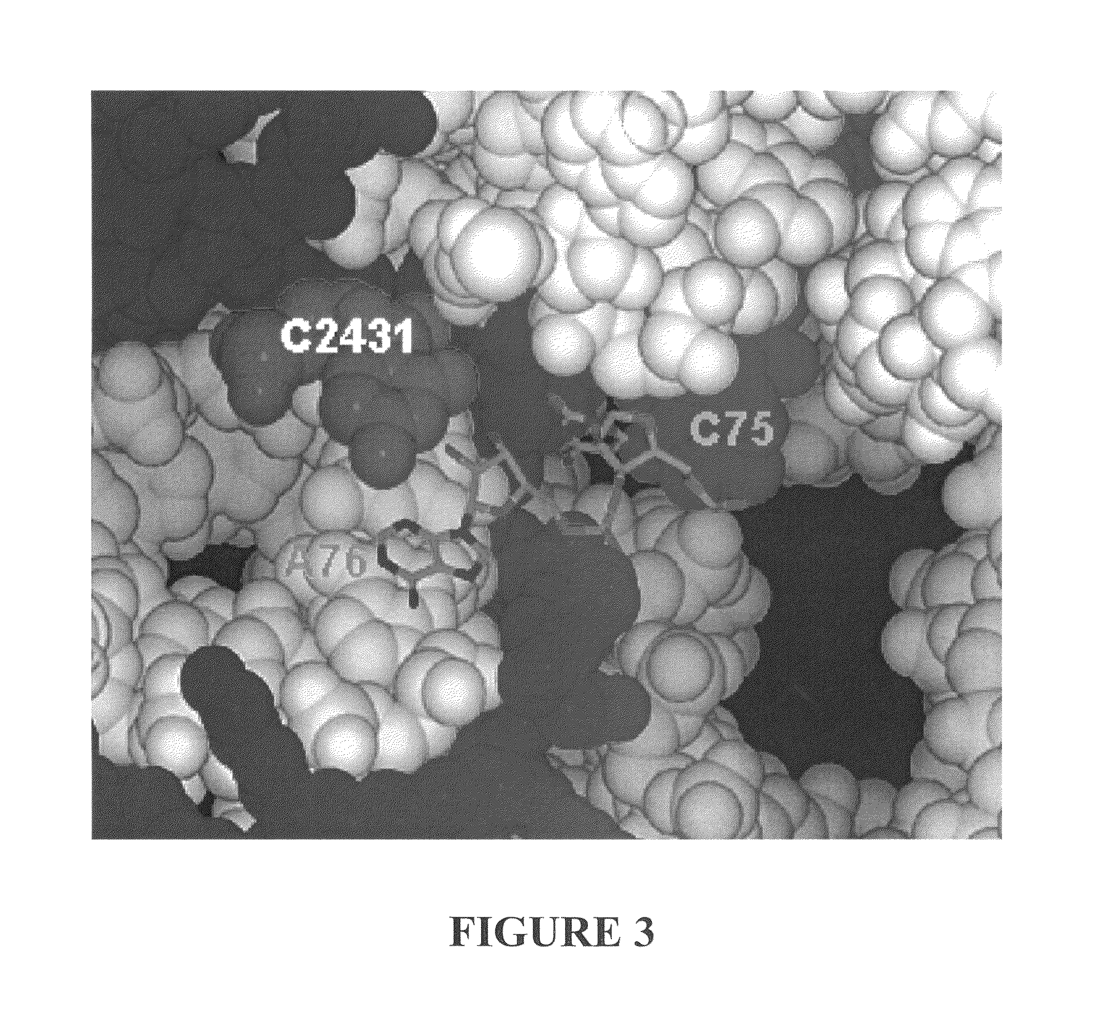 Protein synthesis modulators