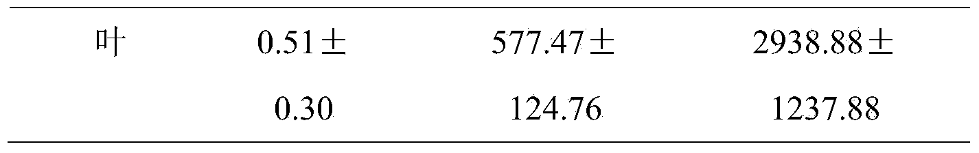 Method for utilizing sorghum bicolor to restore caesium-contaminated soil