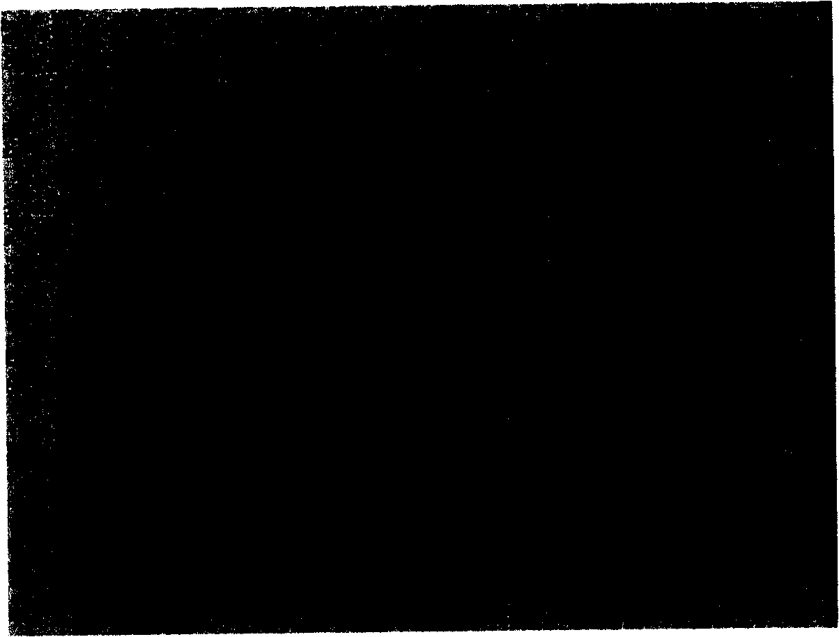 Method of preparing biological high polymer nano selenium composite film