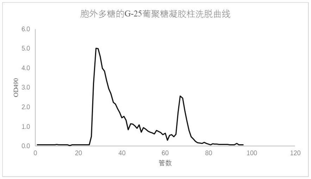 Marine aspergillus versicolor as well as isolated culture method and application thereof