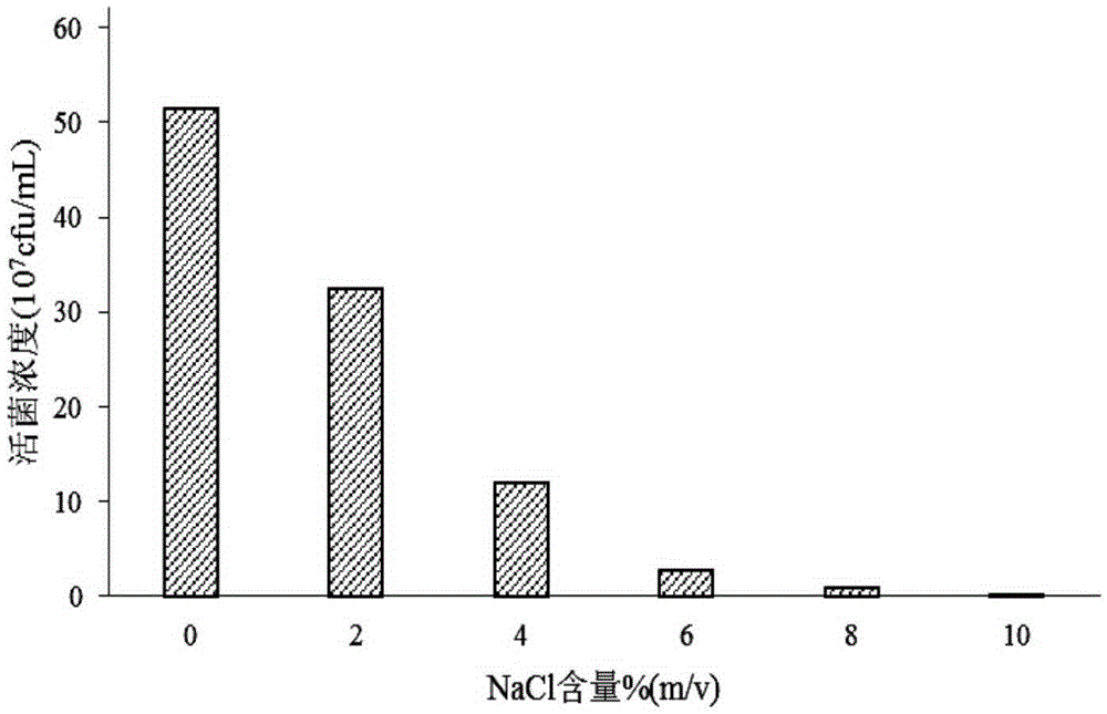 Human-derived lactobacillus acidophilus resisting gastrointestinal tract stress and application thereof