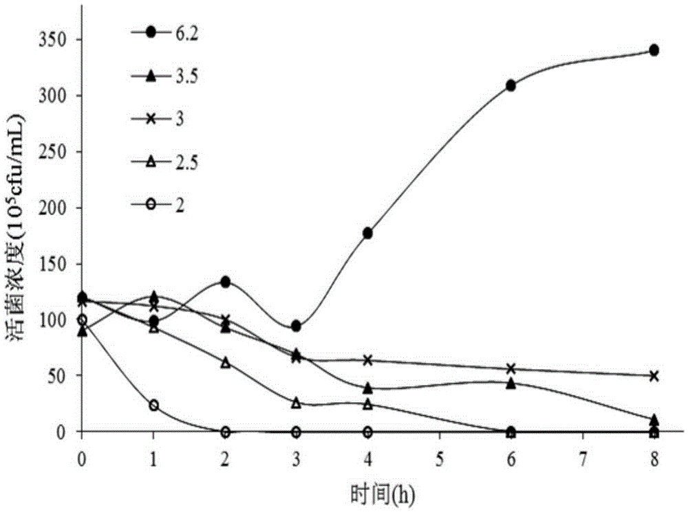 Human-derived lactobacillus acidophilus resisting gastrointestinal tract stress and application thereof