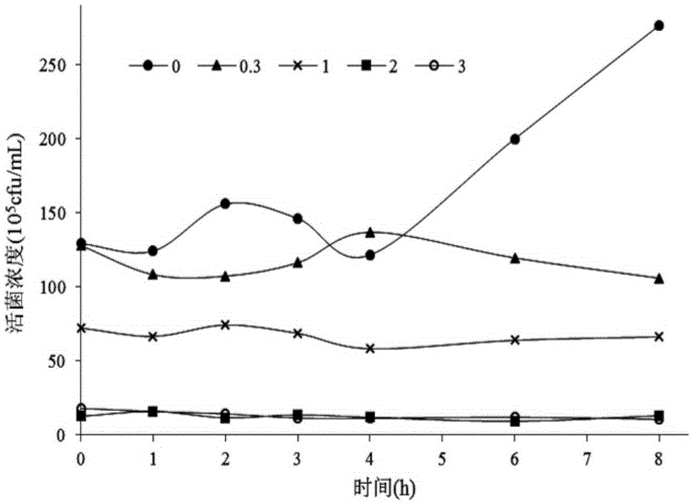 Human-derived lactobacillus acidophilus resisting gastrointestinal tract stress and application thereof