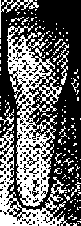 Method for reconstructing three dimensional model of complete teeth through CT data of dentognathic gypsum model and dentognathic panoramic perspective view