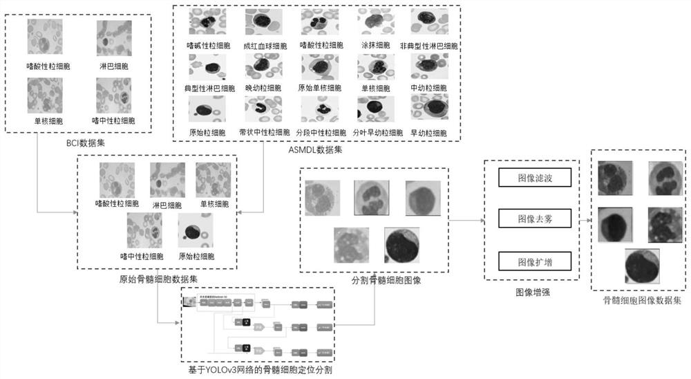 Bone marrow cell classification and identification method and system based on multiple features and multiple classifiers