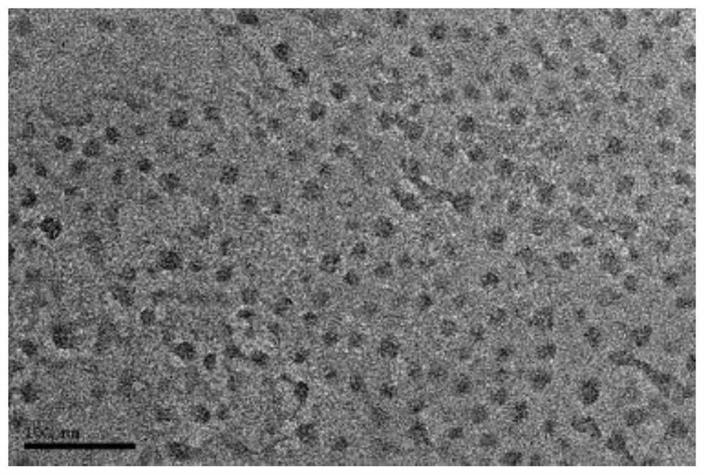 Rare earth element qualitative and quantitative detection method based on carbon quantum dot fluorescence mechanism