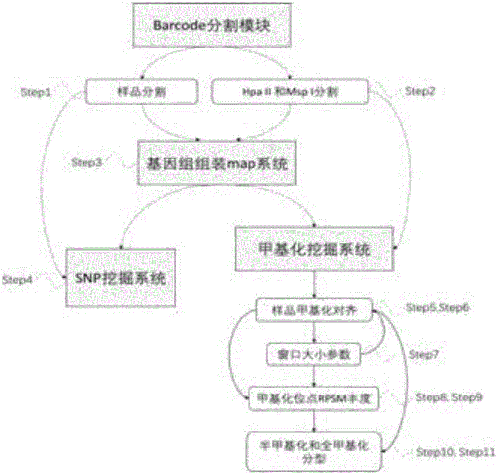 Cytosine methylation excavation method