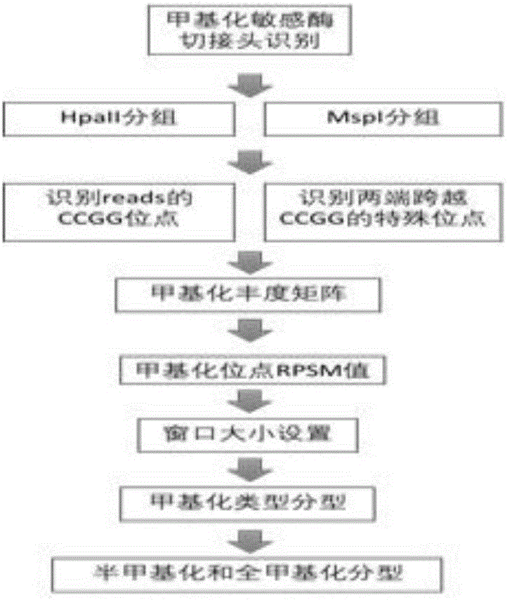 Cytosine methylation excavation method