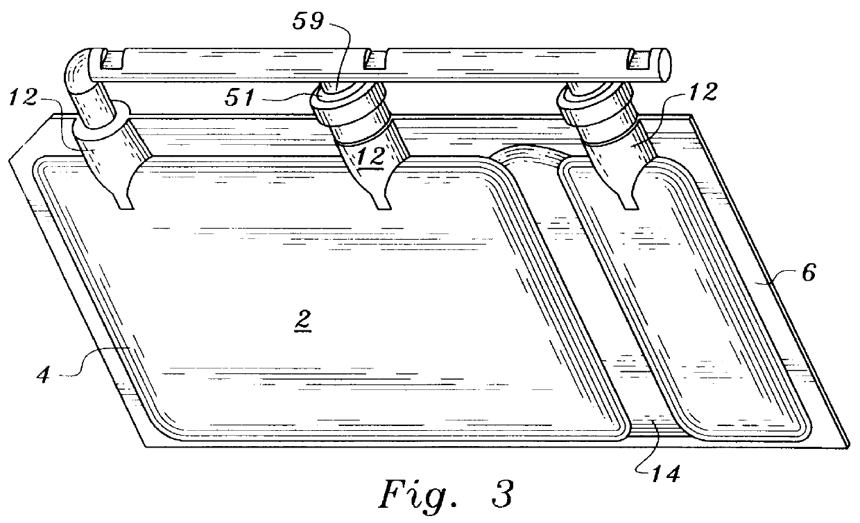 Freezing and thawing bag, mold, apparatus and method