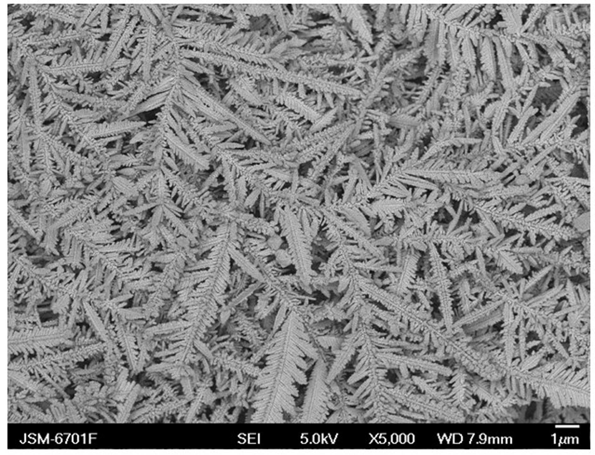 Electrochemical deposition method for preparing super-hydrophobic and super-oleophilic surface