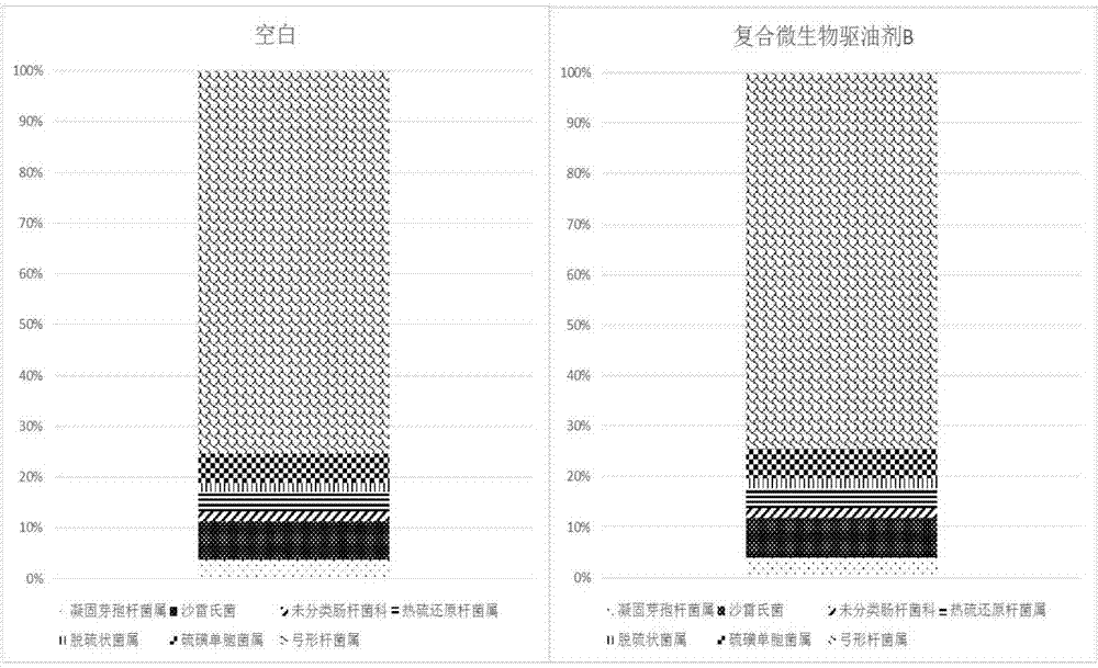 Compound microorganism oil-displacing agent for oil production and compounding method thereof