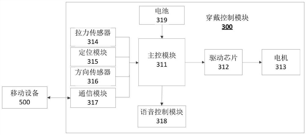 Pet wearing control system and pet wearing device