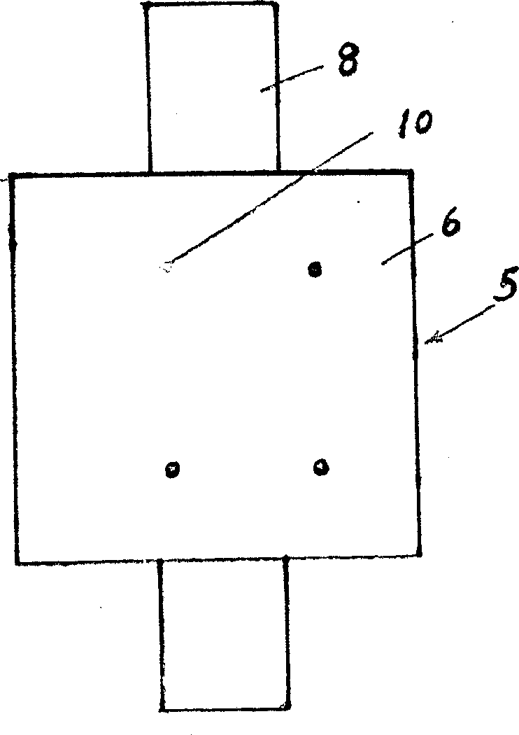 Solid powder combined fuel, and method for preparing the fuel