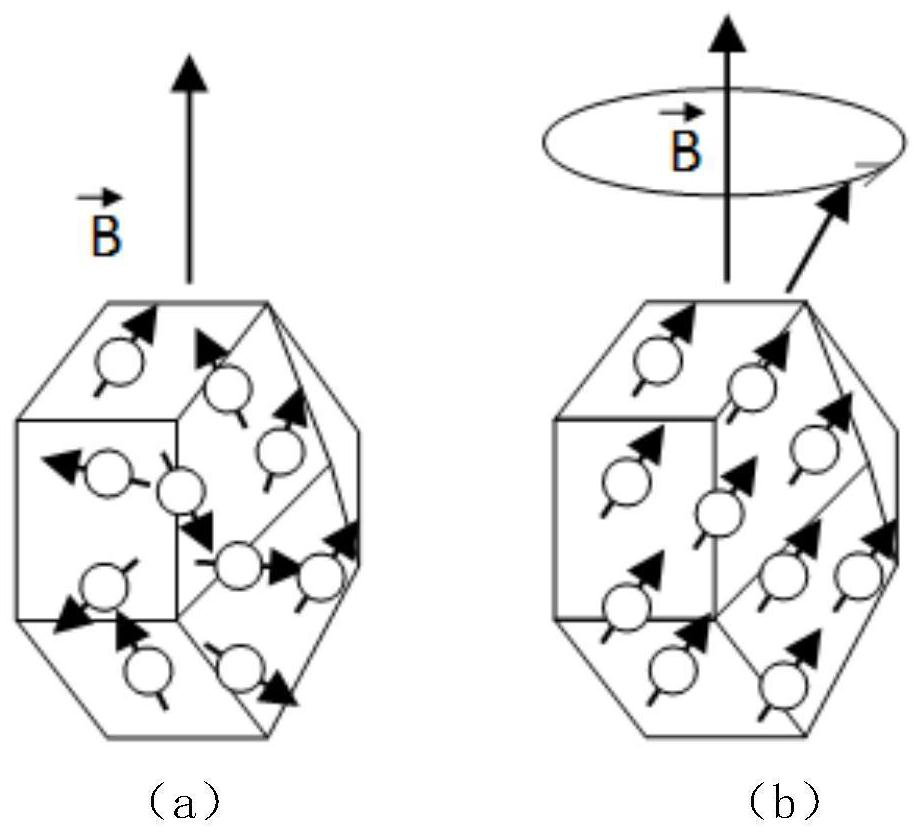 An Accurate Calibration Method of Spin Defect Concentration in Diamond