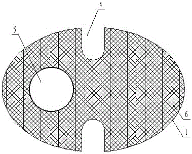 Steel-plastic complex swash plate formed in one step