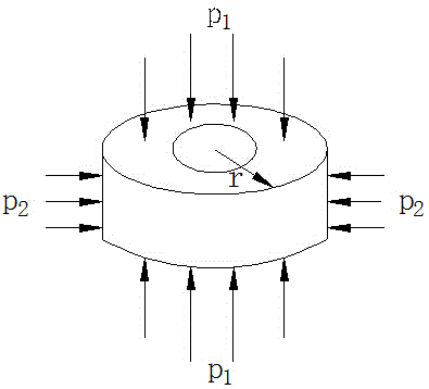 Unidirectional force monitoring apparatus and monitoring method