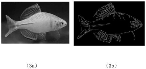 Ocean farm fishery resource conservation effect evaluation method based on bionic eels