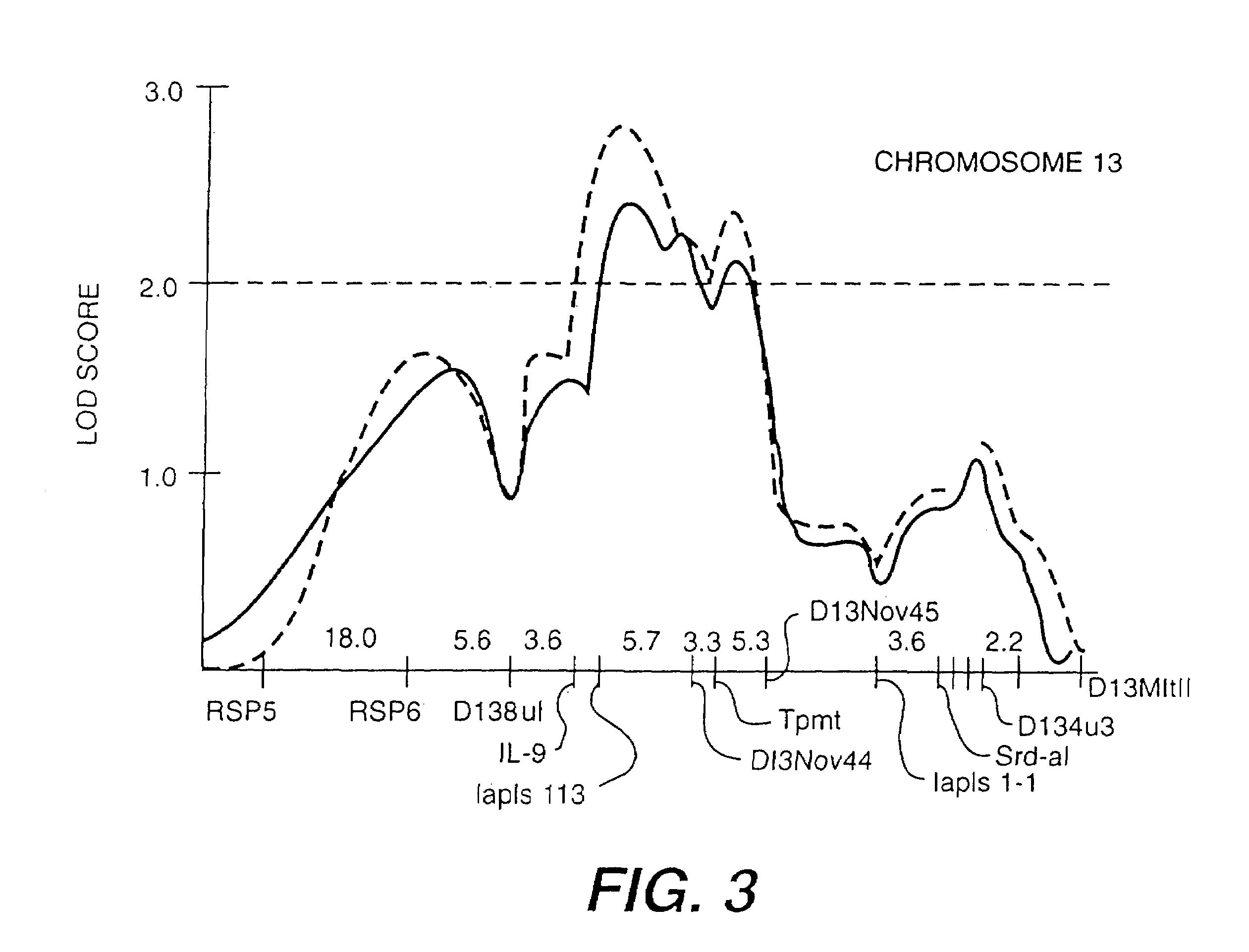 Interleukin-9 mutein peptides