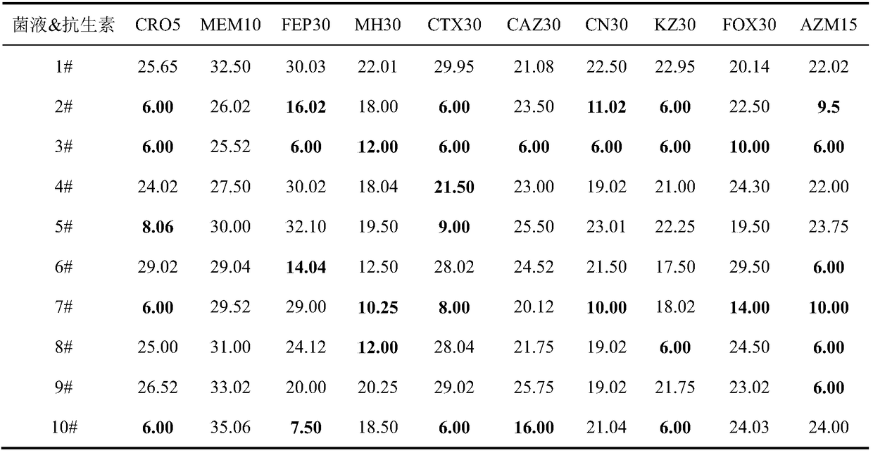 Application of eugenol to inhibition of growth of Escherichia coli with multi-drug resistance