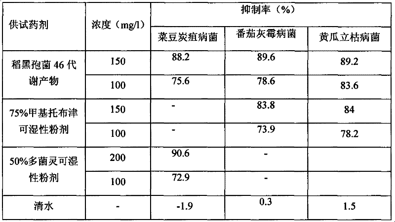 Application of metabolites of nigrospora oryzae 46 in prevention and treatment of botrytis cinerea