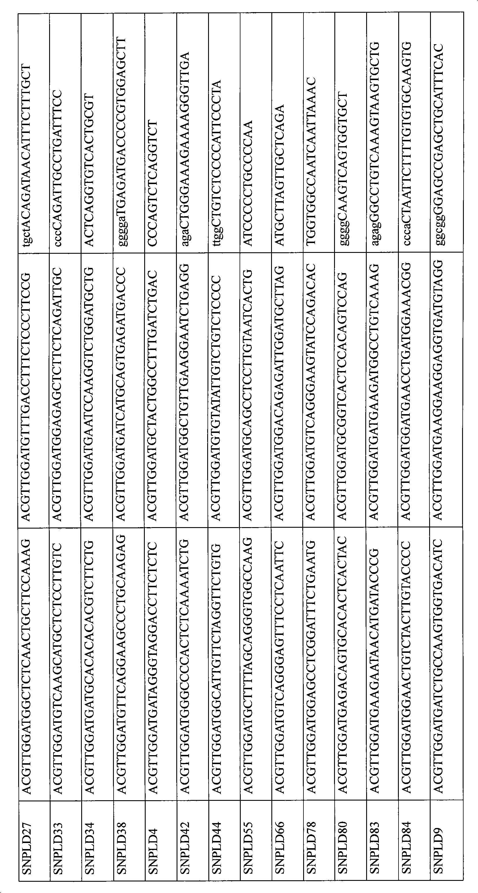 Paternity testing single nucleotide polymorphism (SNP) label combinations and detection method for Holstein cattle group