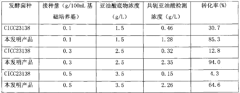 Microbe starter culture for producing conjugated linoleic acid and preparation method thereof