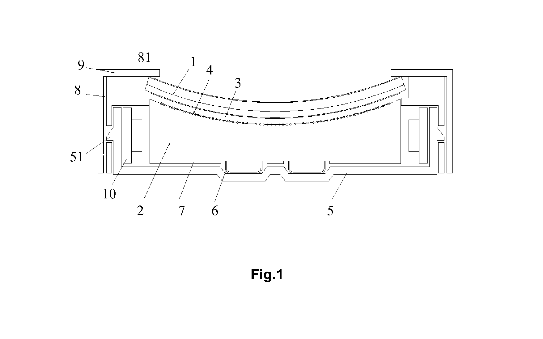 Liquid crystal module and curved surface display device