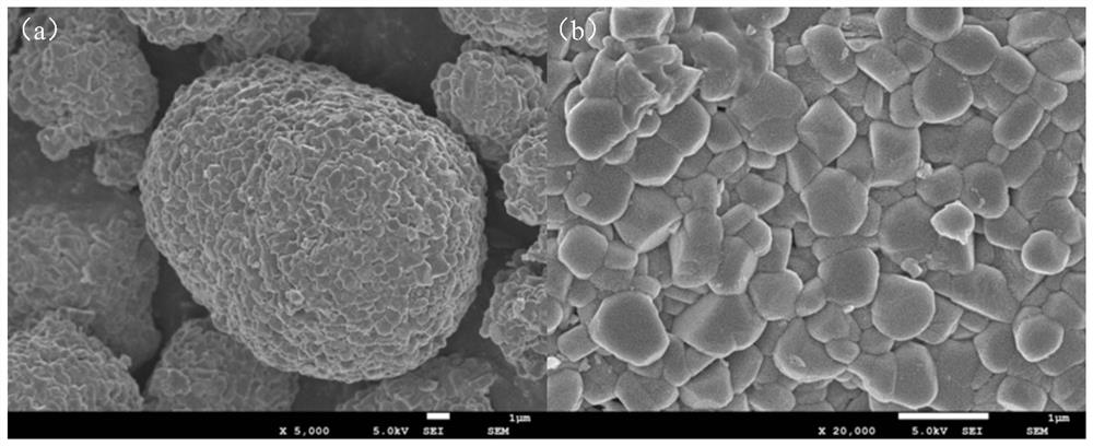 Coated lithium nickel cobalt manganese oxide positive electrode material, preparation method thereof and lithium ion battery