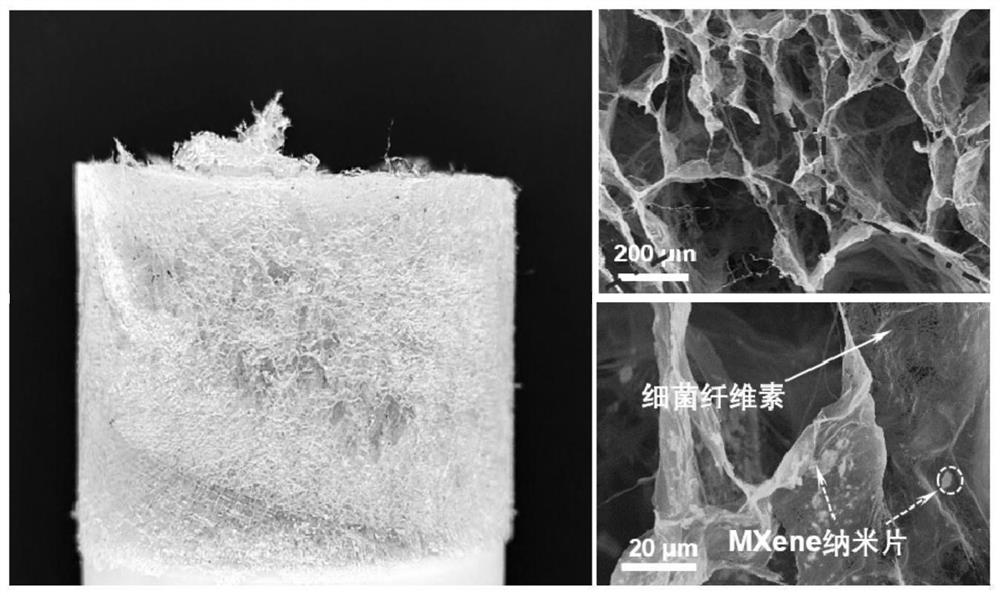 Preparation method and application of super-hydrophobic MXene-based/cellulose composite aerogel