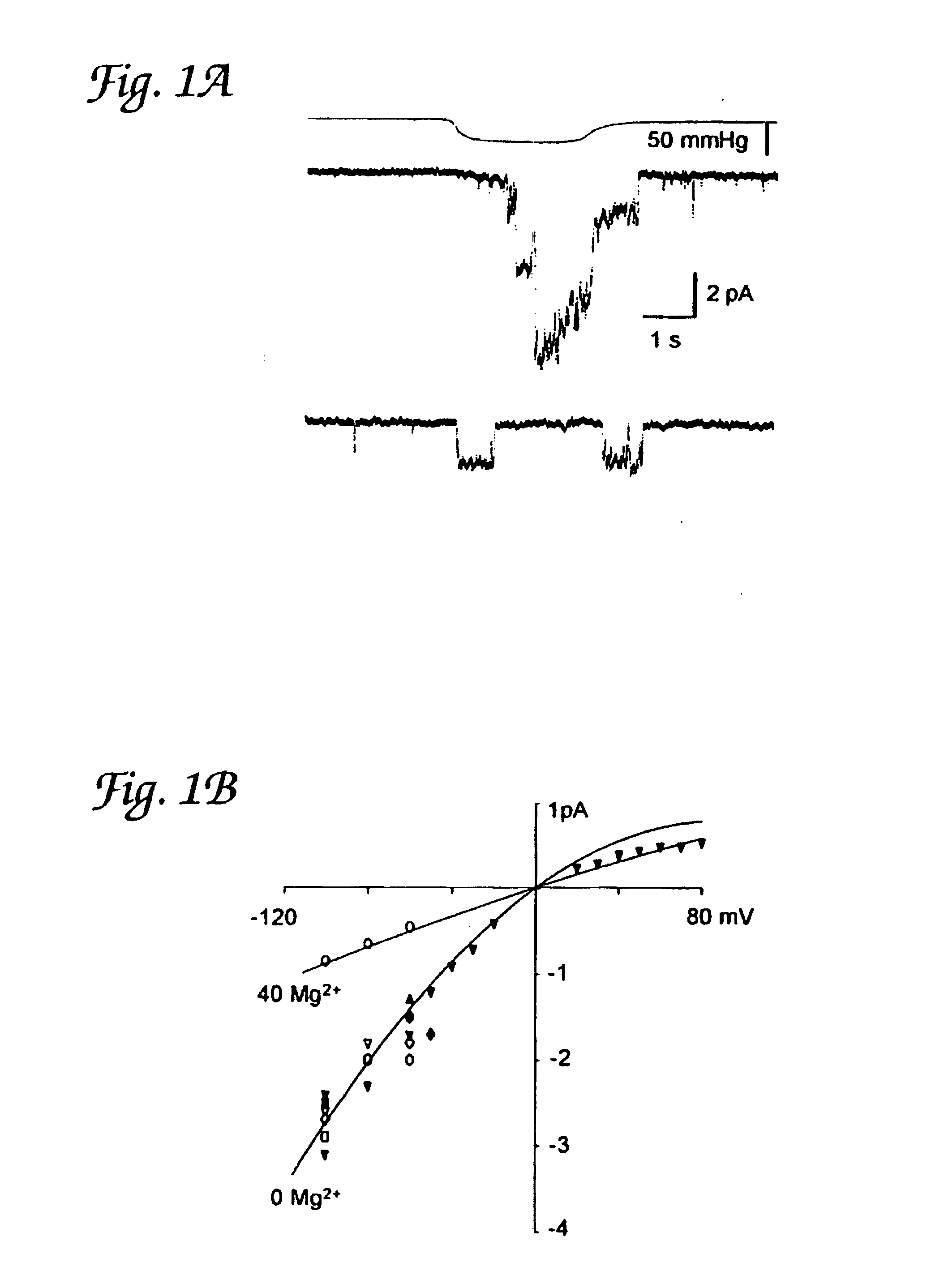 Mechanosensitive ion channels and methods of use