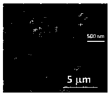 High-crystallinity submicron nickel-cobalt-manganese ternary positive electrode material and preparation method thereof