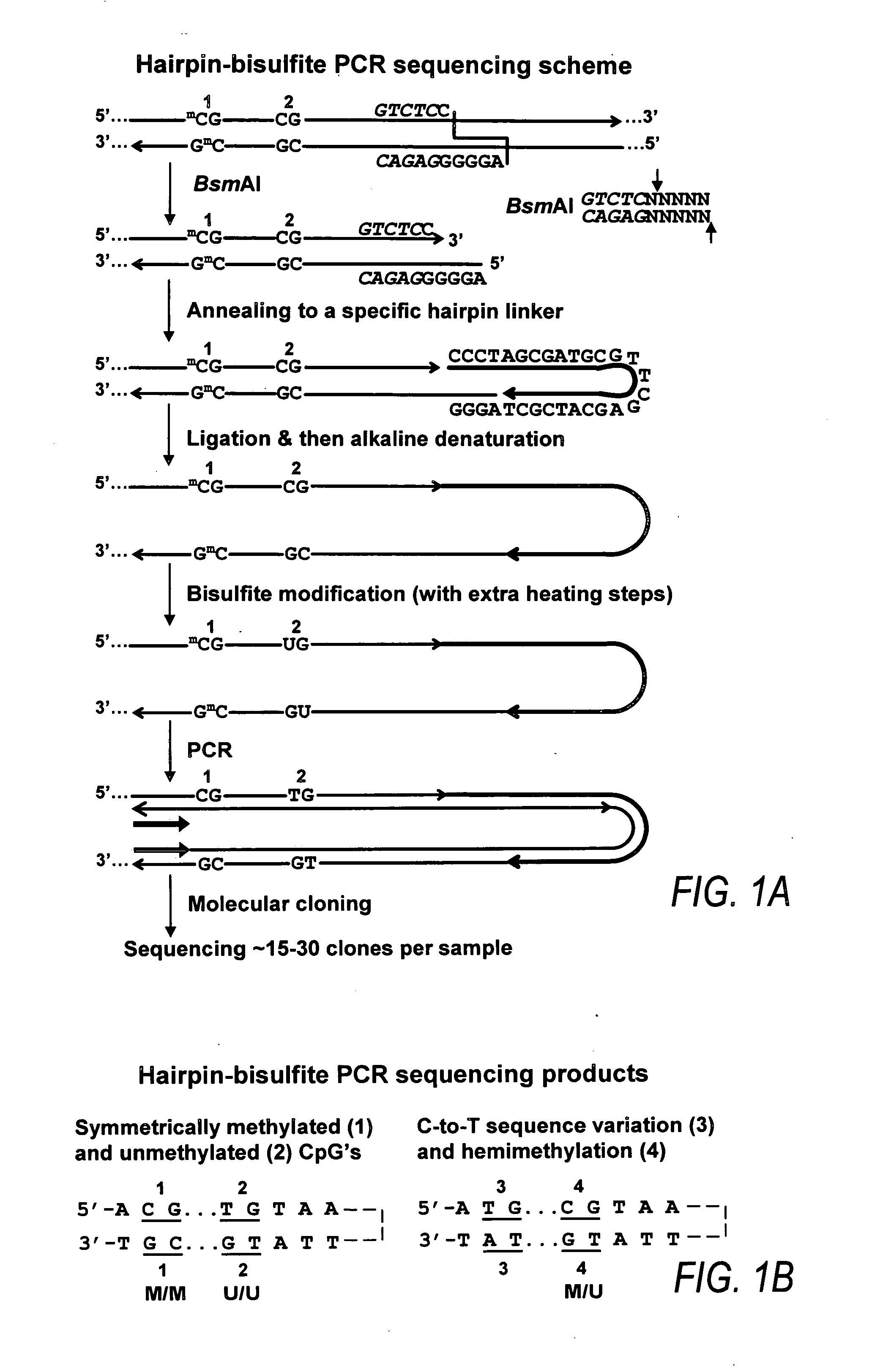 Methods for diagnosing cancer based on DNA methylation status in NBL2