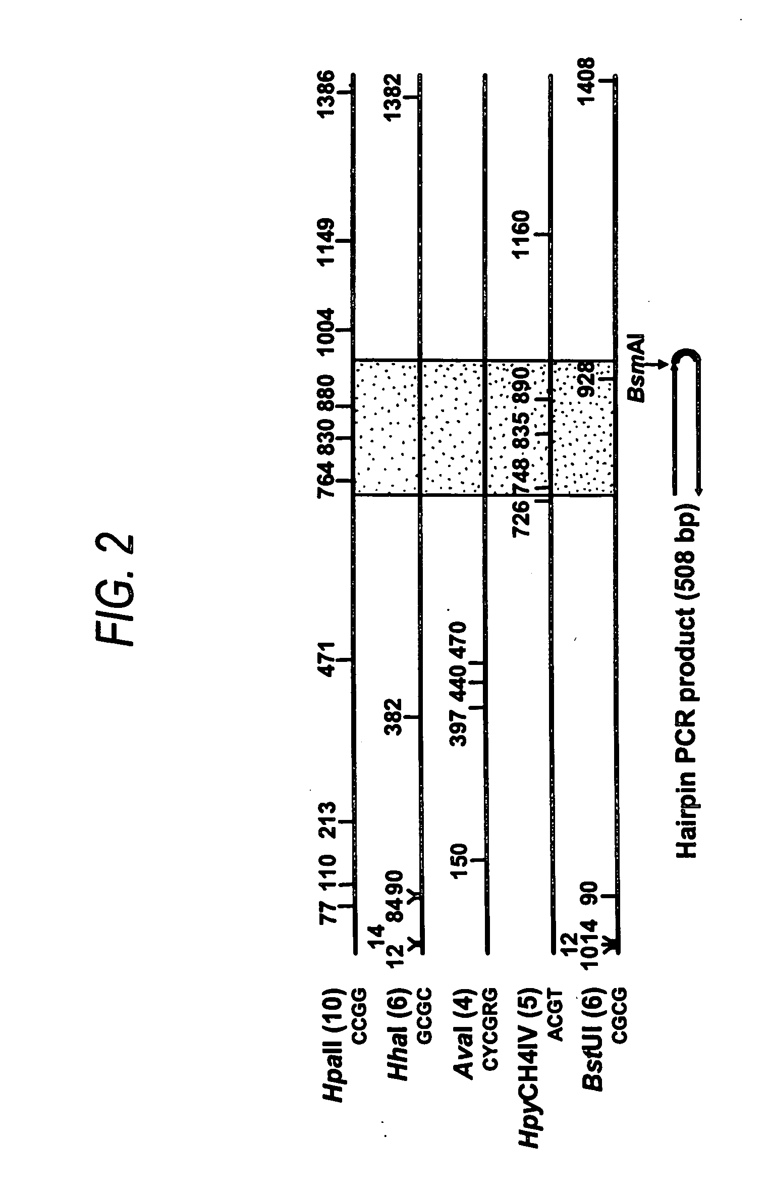 Methods for diagnosing cancer based on DNA methylation status in NBL2