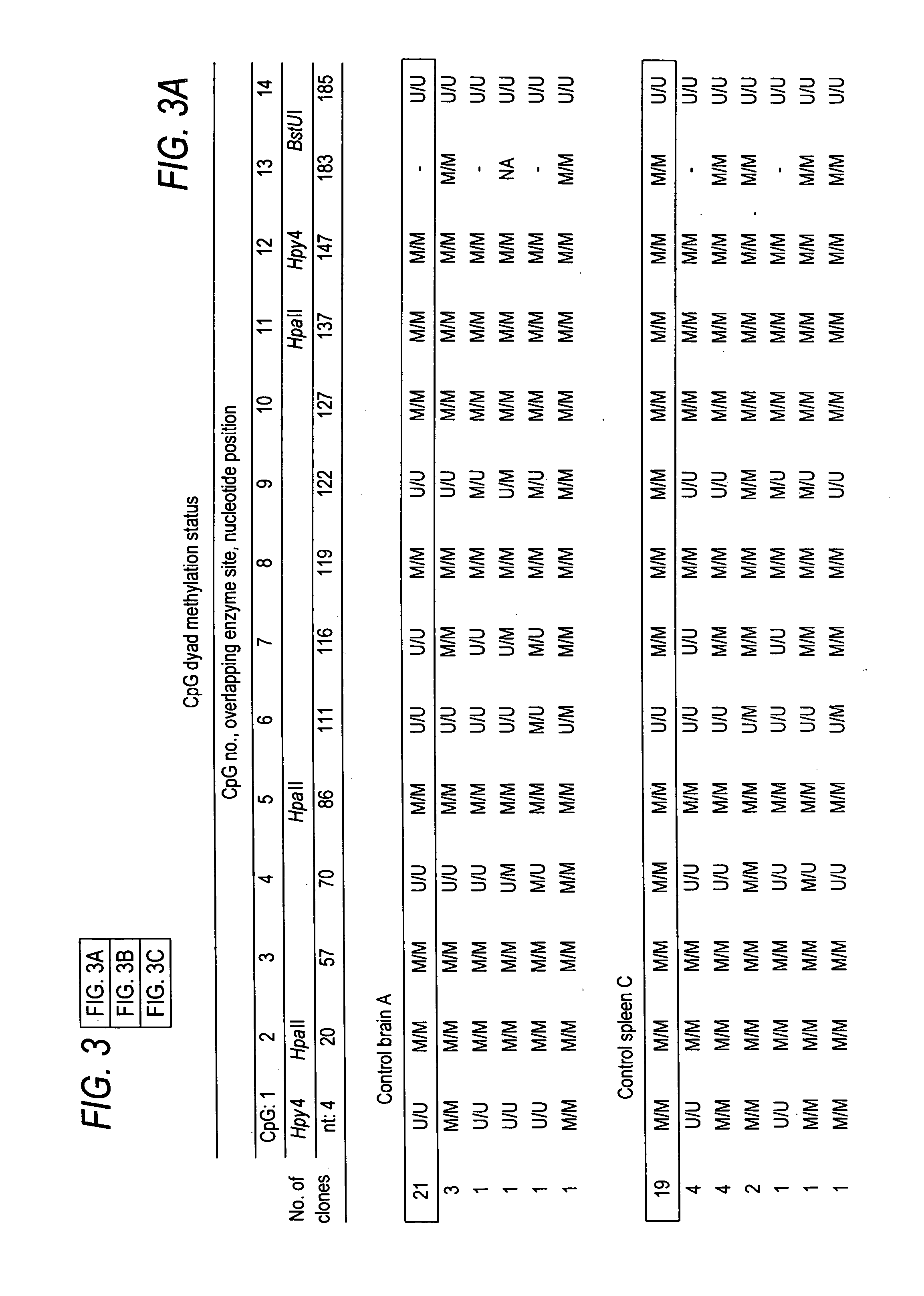 Methods for diagnosing cancer based on DNA methylation status in NBL2