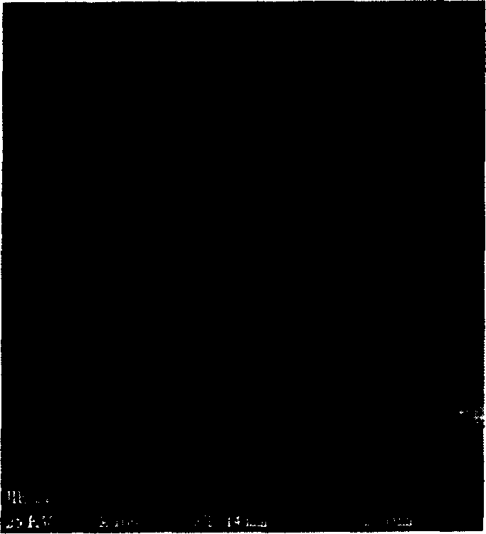 Gas separation film made of cellulosic hollow fiber and the preparation process thereof