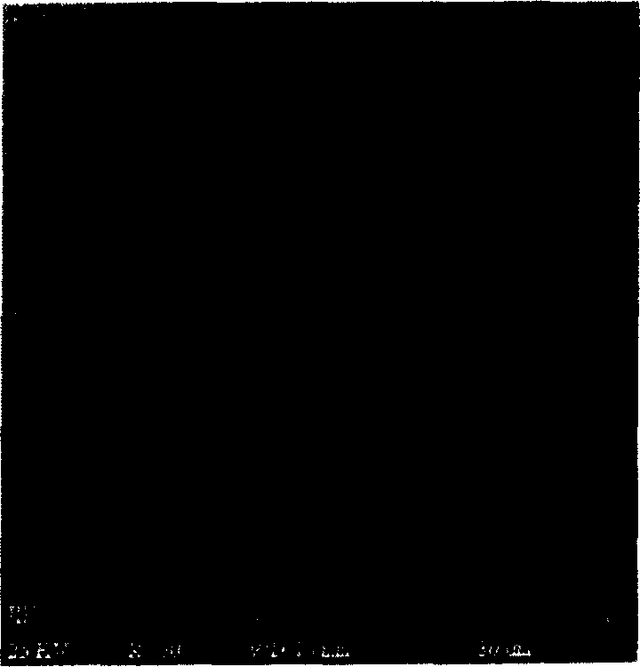 Gas separation film made of cellulosic hollow fiber and the preparation process thereof