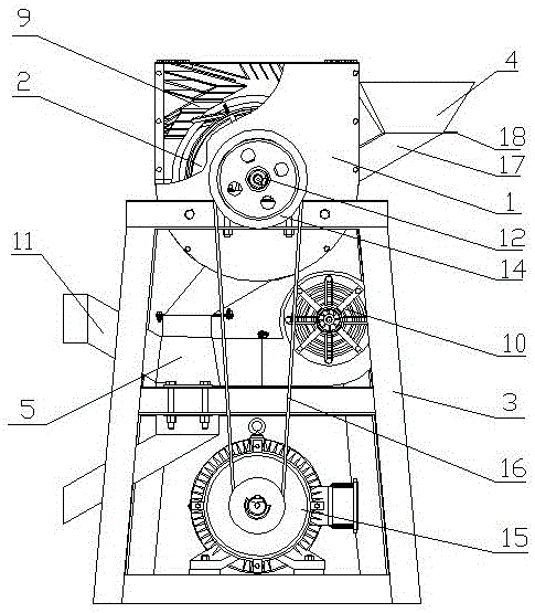 Conical roller type peony seed shelling and cleaning device