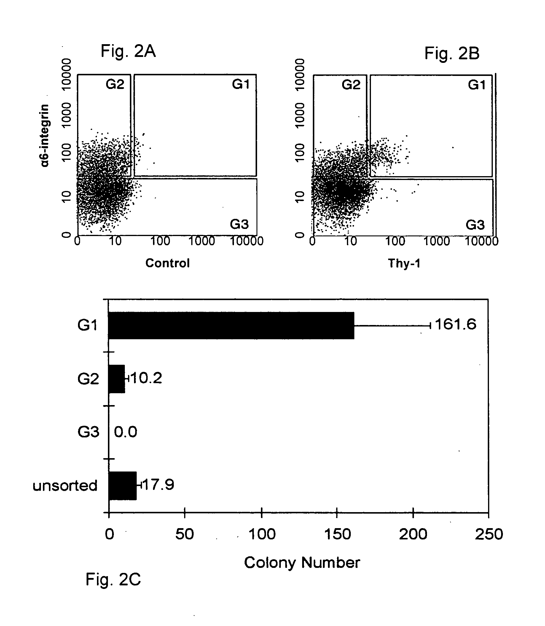 Culture conditions and growth factors affecting fate determination, self-renewal and expansion of rat spermatogonial stem cells