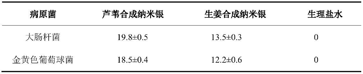 Method for preparing high-efficiency bacteriostatic agent from reed leaf extract